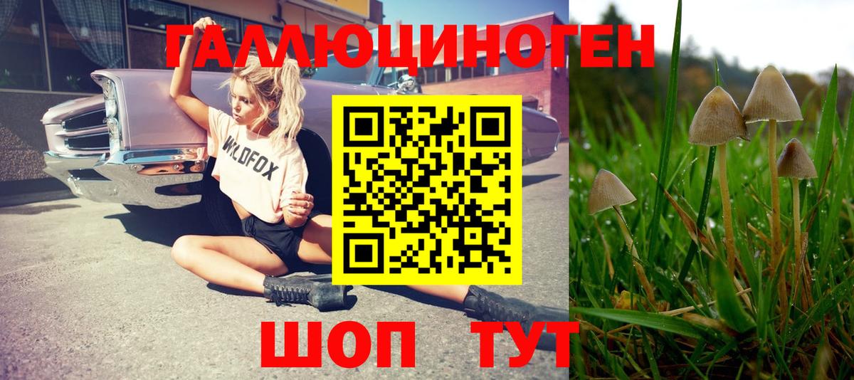 Псилоцибиновые грибы мухоморы Ефремов