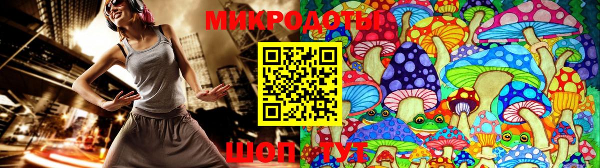 Ефремов  Галлюциногенные грибы Psilocybe  Вход с VPN 